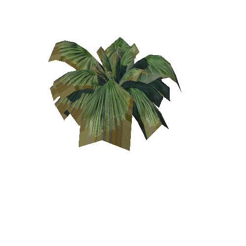 01-Palm02 Fern01_1